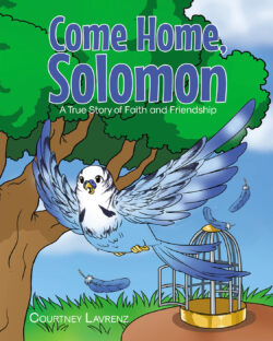 Come Home, Solomon