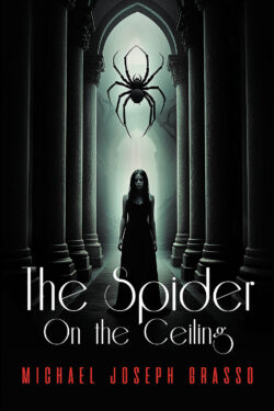 The Spider on the Ceiling
