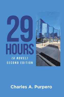 29 Hours (A Novel)