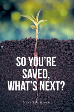 So You're Saved, What's Next?