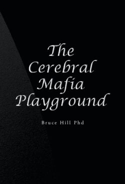 The Cerebral Mafia Playground